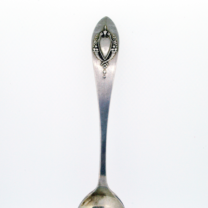 Spoon_6tsp